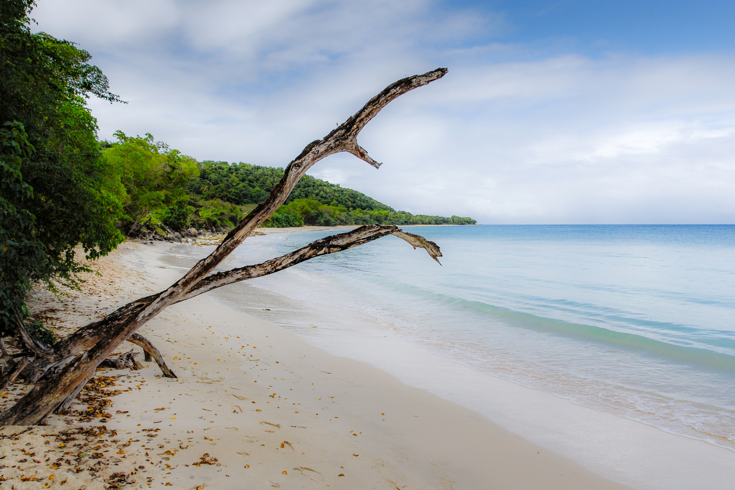 marie-galante (2).webp